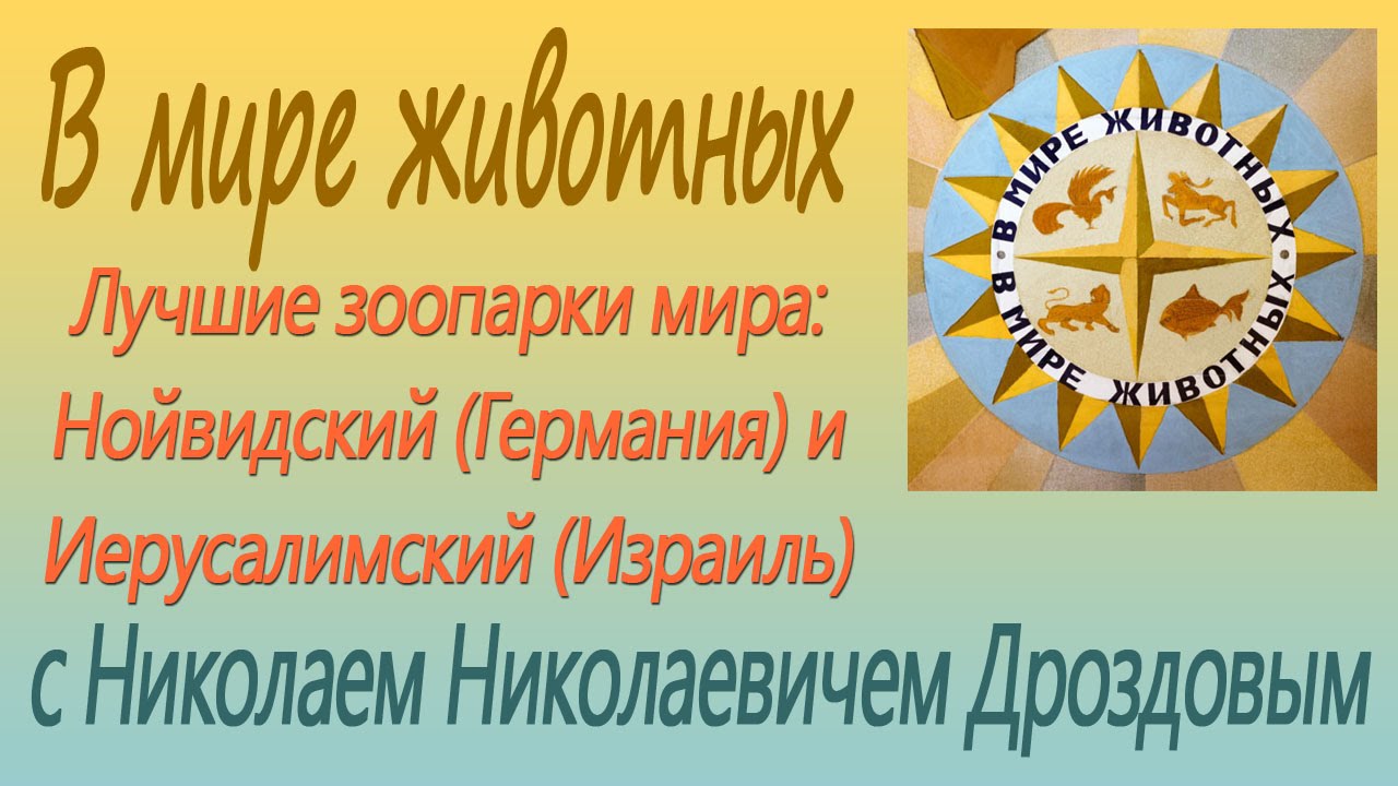 Лучшие зоопарки мира: Нойвидский (Германия) и Иерусалимский (Израиль). В мире животных 2011 06 11