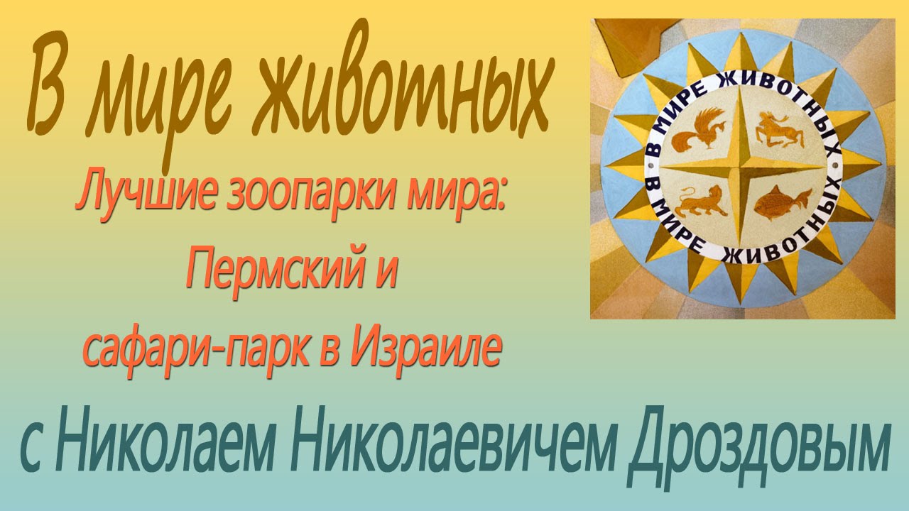 Лучшие зоопарки мира: Пермский и сафари-парк в Израиле. В мире животных