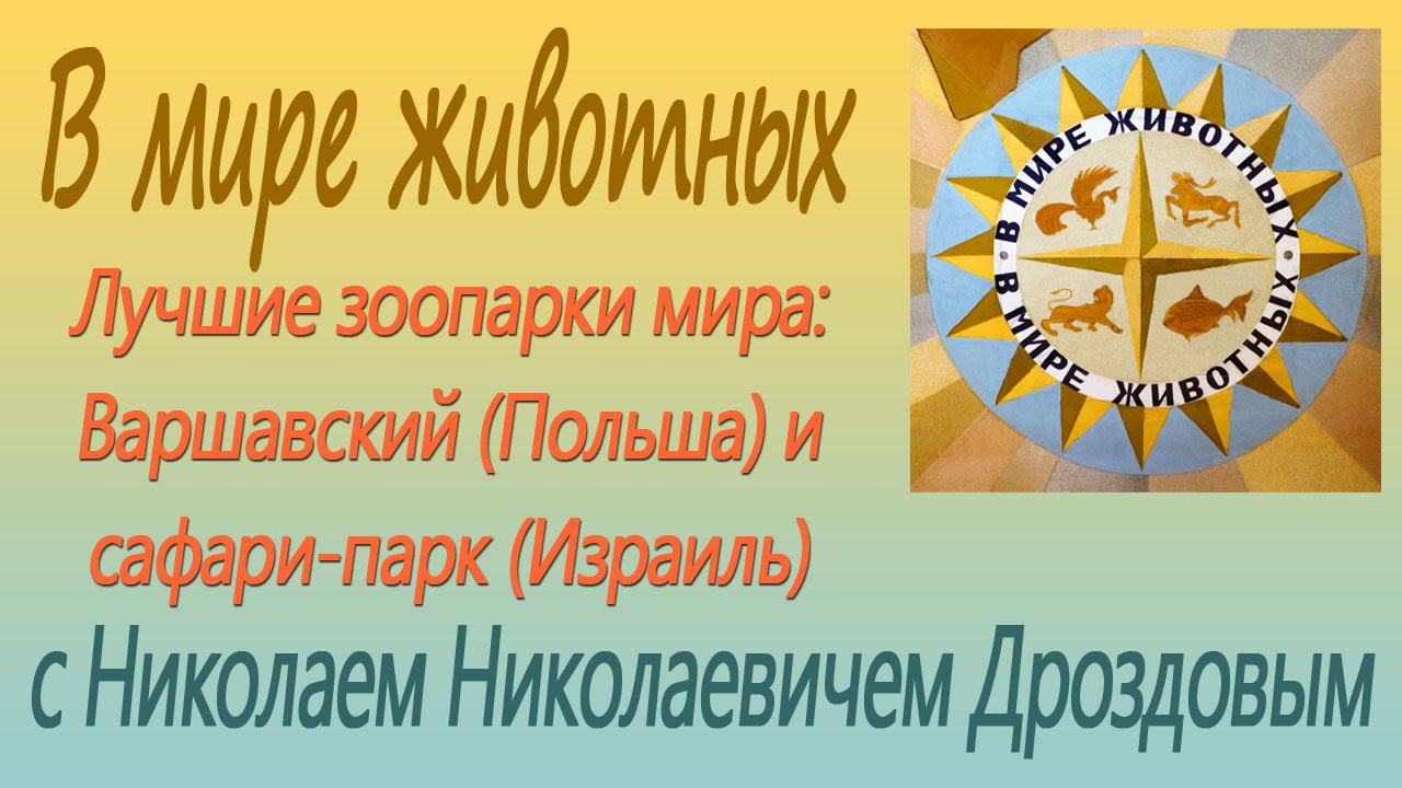 Лучшие зоопарки мира: Варшавский (Польша) и сафари-парк (Израиль). В мире животных