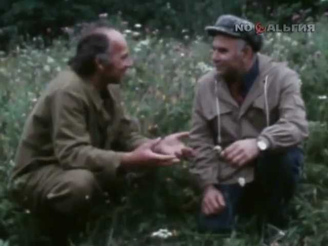 В мире животных. 1980 г.