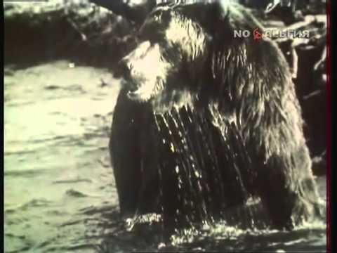 В мире животных. 1989-03-09 г.