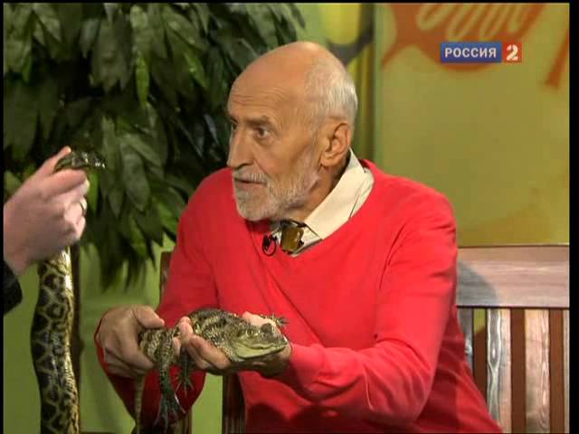 В мире животных   2011 03 26 - В мире животных с Николаем Николаевичем Дроздовым