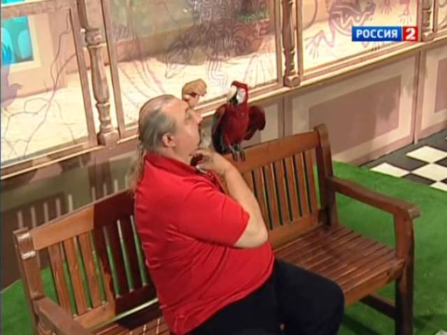 В мире животных   2011   Попугай ара - В мире животных с Николаем Николаевичем Дроздовым