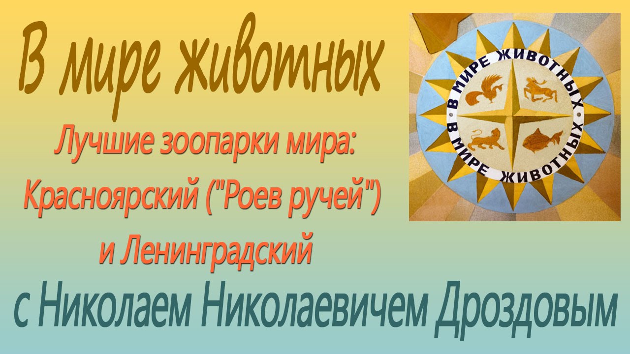 В мире животных. Молочная змея
