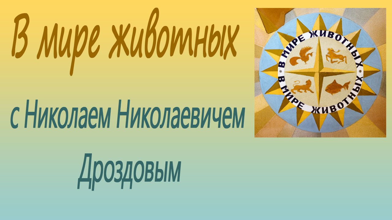 В мире животных с Николаем Николаевичем Дроздовым