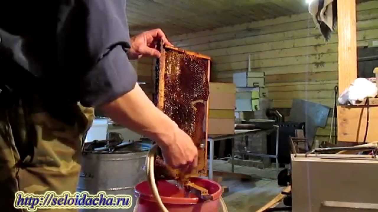 Пчеловодство для начинающих. Работа на пасеке. Продукты пчеловодства. Откачка меда