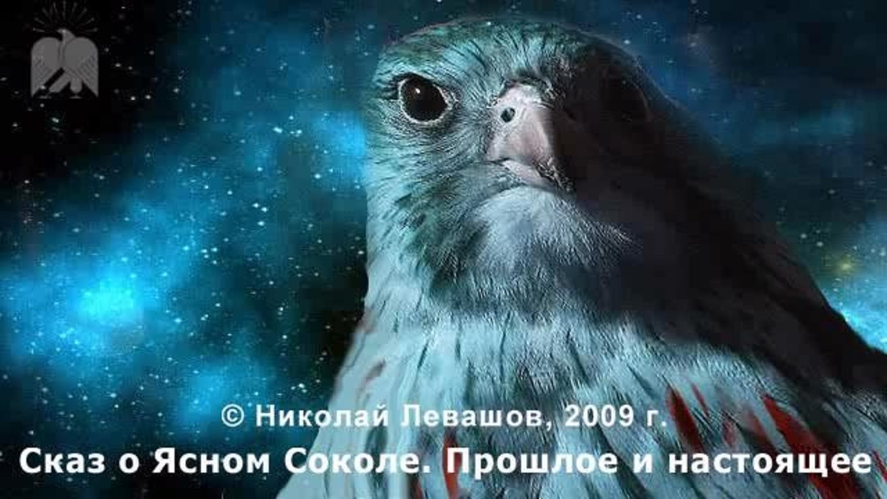 Сказ о Ясном Соколе. Прошлое и настоящее