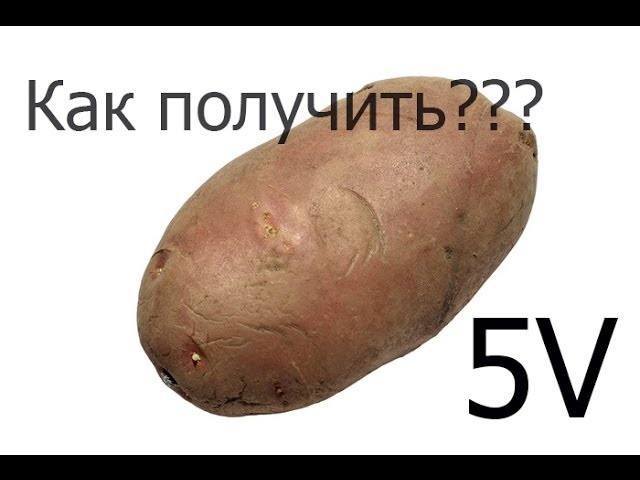 Как из одного картофеля получить 5v. Электричество из картофеля