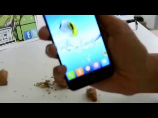 Что может китайский смартфон (Not Vine)