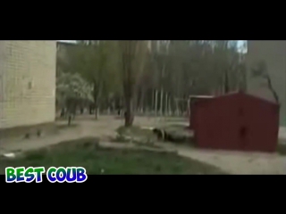 Лучшее видео COUB за сентябрь 2016 Best Coub за неделю. Выпуск 130
