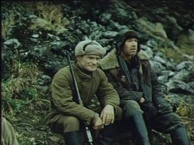Территория 1978
