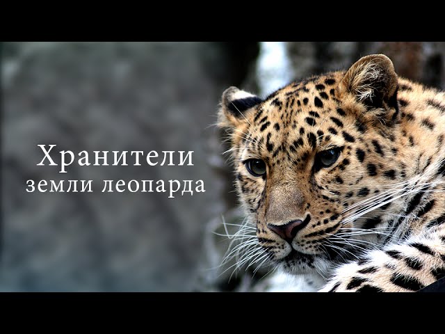 Хранители земли леопарда. 4 серия