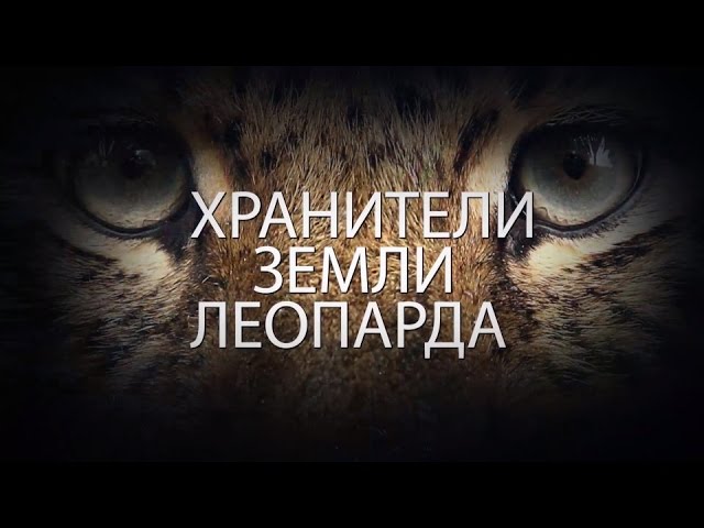Хранители земли леопарда. Трейлер