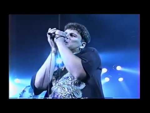 Сектор газа-Дурак